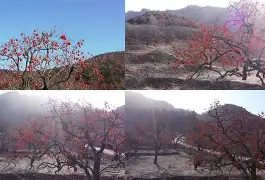 爱游戏官网-包含Q葎m?